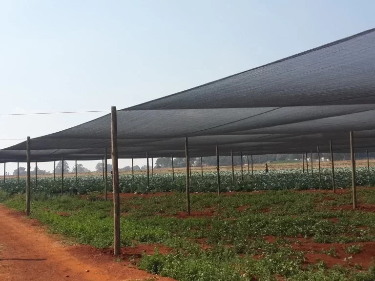 Agricultural-Shade-Net-House (1)