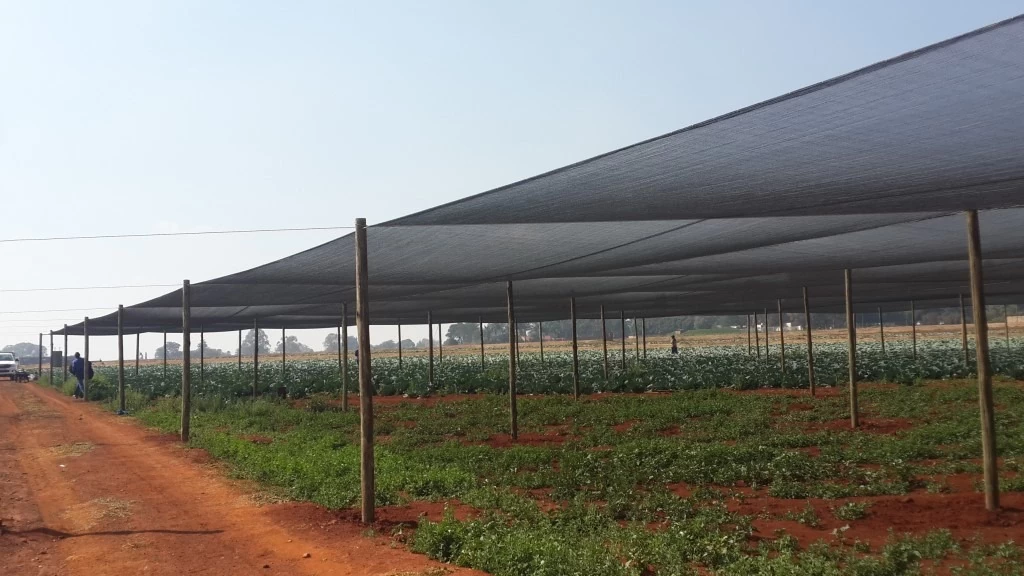 Agricultural-Shade-Net-House