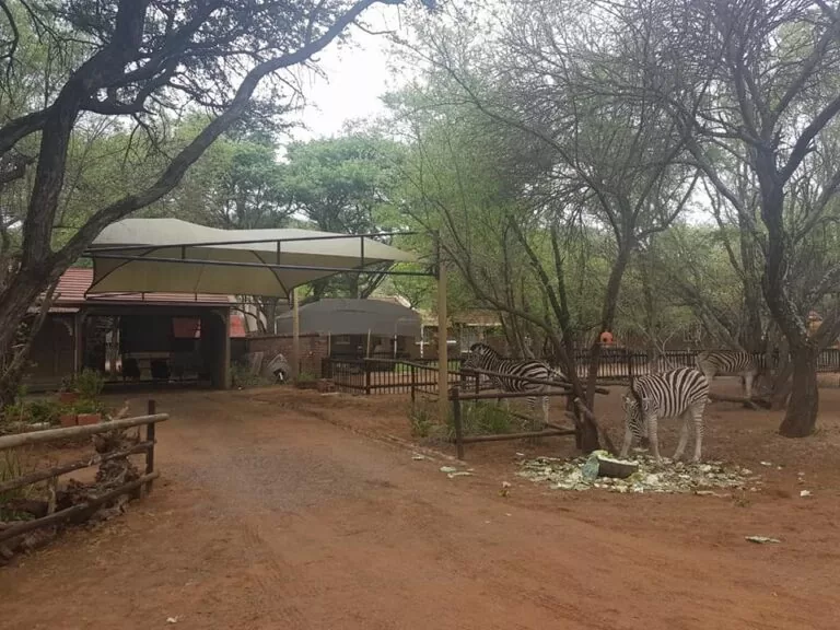 Bushveld-Carport-768x576