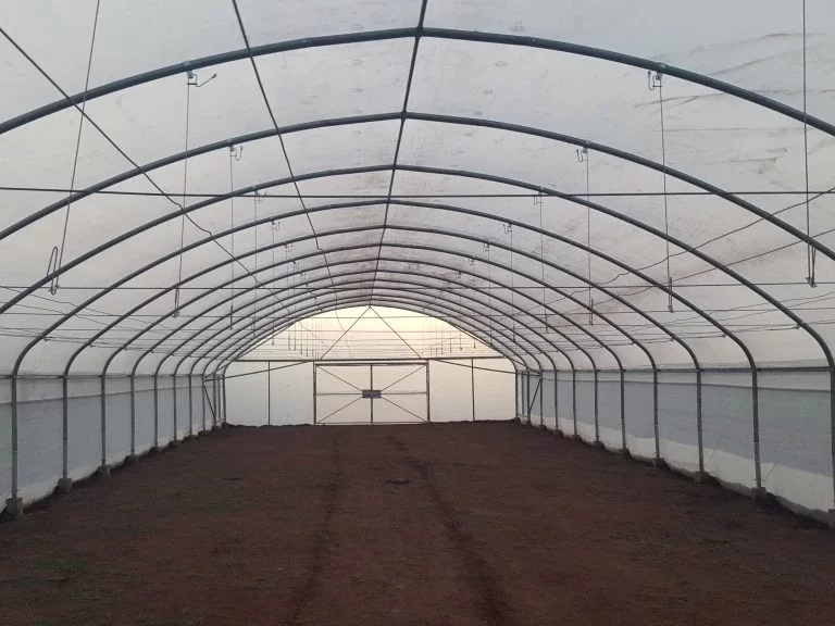 Greenhouse-tunnel-2-jcv-shades