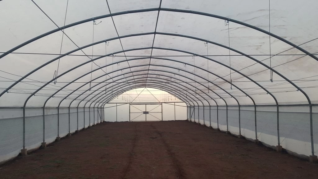 Greenhouse-tunnel-2-jcv-shades