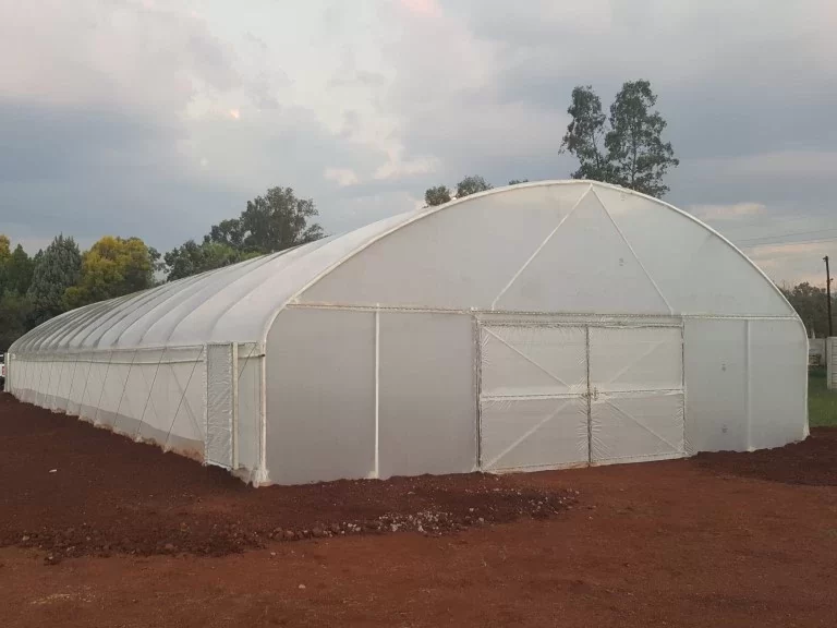 Greenhouse-tunnel-3-jcv-shades